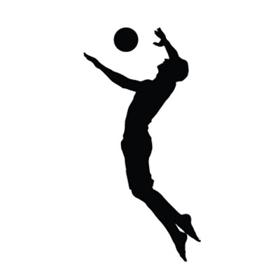 Campeonatos Nacionales de Voleibol de Sala 2a División