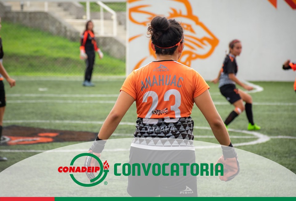 Convocatoria al Campeonato Nacional de Fútbol Rápido Varonil y Femenil de Primera Fuerza 2019