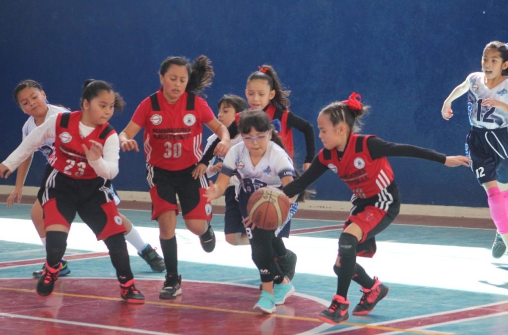 Convocatoria al Campeonato Nacional de Basquetbol Infantil Mayor 2023