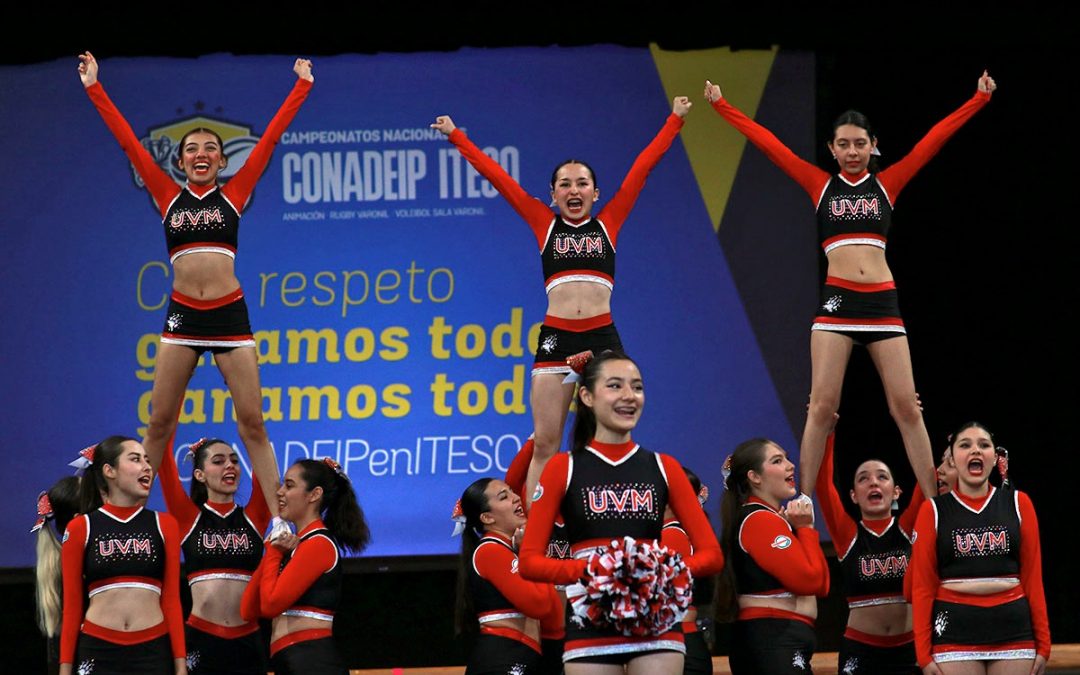 Convocatoria al Campeonato Nacional de Grupos de Animación 2024