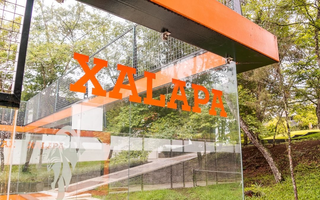 Convocatoria al Campeonato Nacional Promocional de Pádel Primera Fuerza 2024