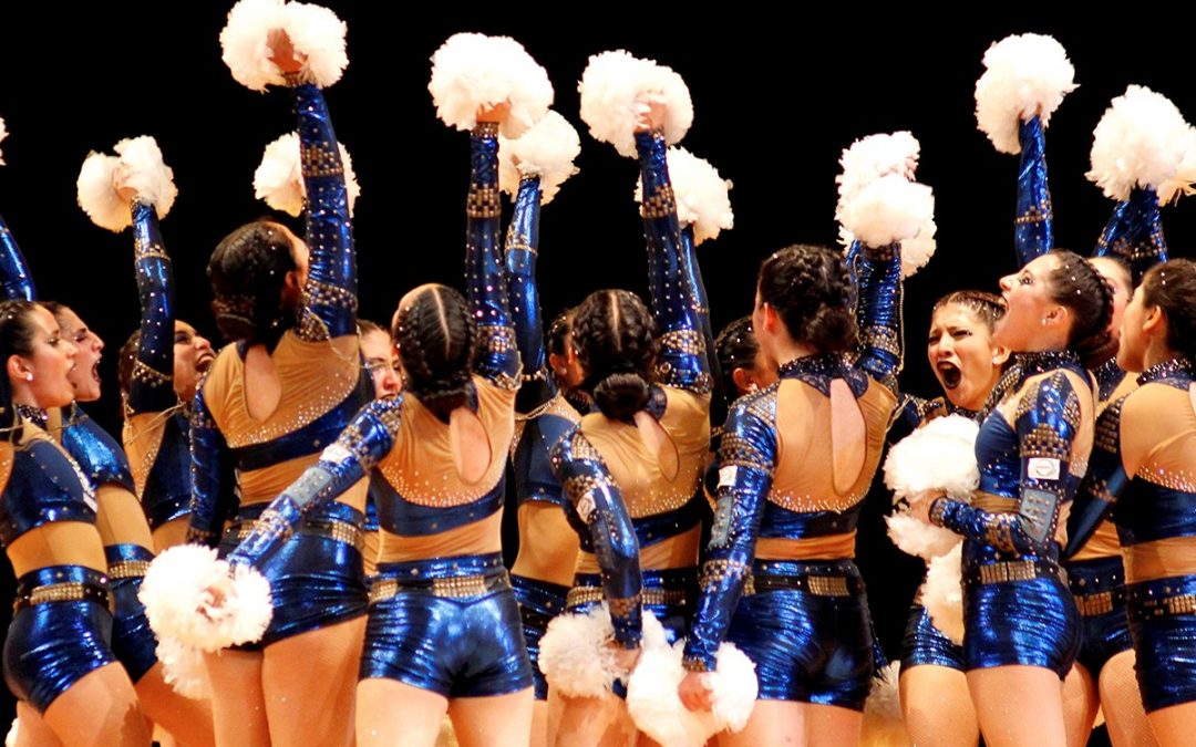 Convocatoria al Campeonato Nacional de Grupos de Animación 2025